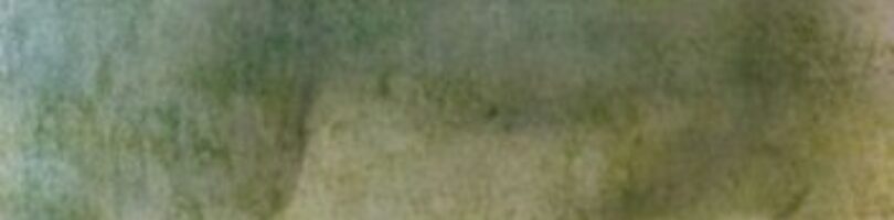 LA LEVITACIÓN – Guillermo Sánchez