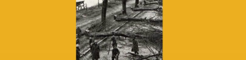 TIERRAS MÁRTIRES – Enrique Gómez Carrillo