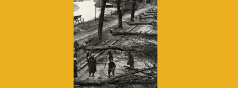 TIERRAS MÁRTIRES – Enrique Gómez Carrillo