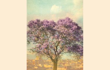 A LA SOMBRA DEL ÁRBOL VIOLETA – Sahar Delijani