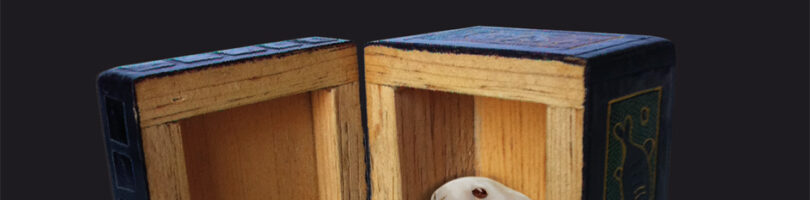 LA LIEBRE CON OJOS DE ÁMBAR. UNA HERENCIA OCULTA – Edmund de Waal