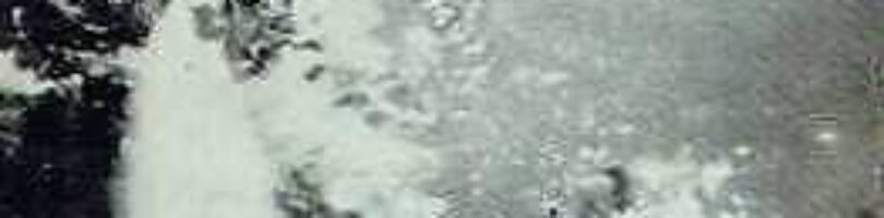 OPERACIÓN ESCAPE – Fritz Brustat-Naval