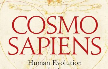 COSMOSAPIENS – John Hands