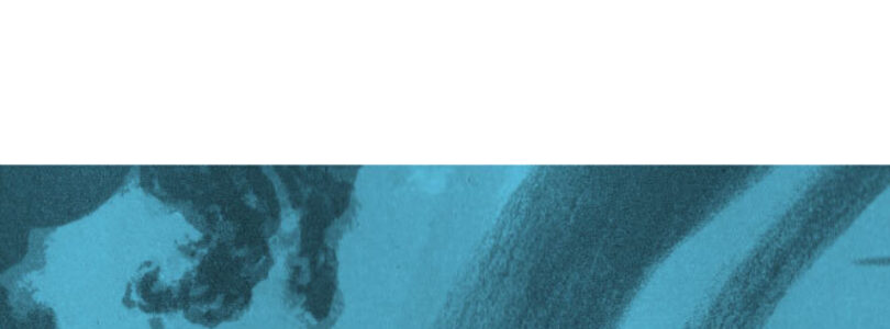 EL METEORÓLOGO – Olivier Rolin
