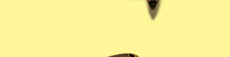 POSESIÓN – A. S. Byatt