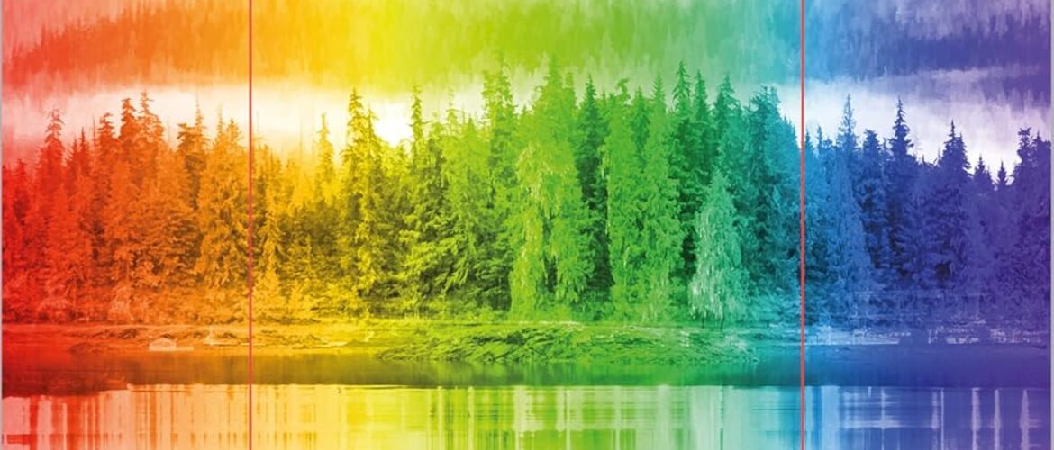 TODOS LOS COLORES DE LA OSCURIDAD – Chris Whitaker