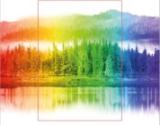 "Todos los colores de la oscuridad" de Chris Whitaker 