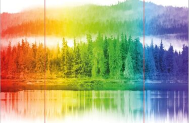TODOS LOS COLORES DE LA OSCURIDAD – Chris Whitaker