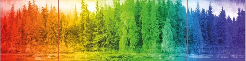 TODOS LOS COLORES DE LA OSCURIDAD – Chris Whitaker