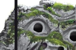 "Bomarzo" de Manuel Mujica Láinez 