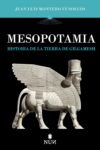 MESOPOTAMIA. HISTORIA DE LA TIERRA DE GILGAMESH – Juan Luis Montero Fenollós