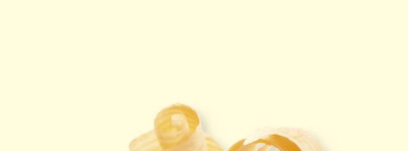 NARCISO Y GOLDMUNDO – Hermann Hesse