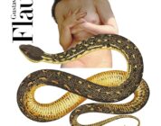 "Salambó" de Gustave Flaubert 